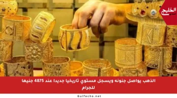 الذهب يواصل جنونه ويسجل مستوى تاريخيا جديدا عند 4875 جنيها للجرام